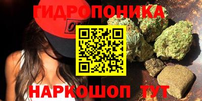 дмт Тула