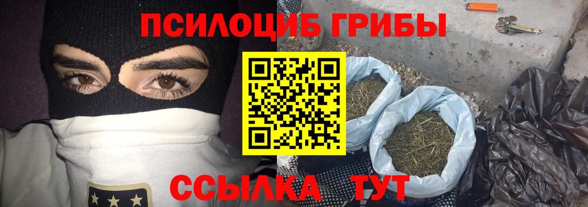 Псилоцибиновые грибы ЛСД  купить наркоту  Мурино  Псилоцибиновые грибы GOLDEN TEACHER  Вход с VPN 