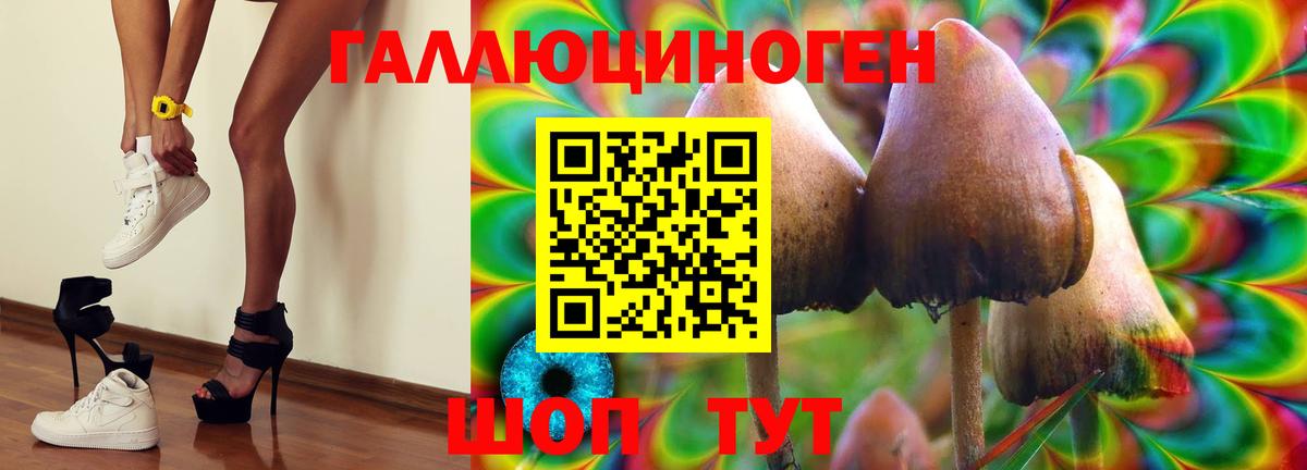Псилоцибиновые грибы Cubensis Мурино